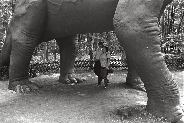 0213-1985-bottrop-kirchhellen-traumlandpark