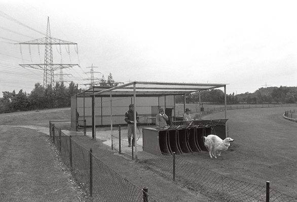 0217-1985-gelsenkirchen-resse