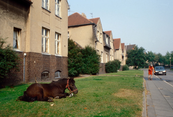 0263c-1984-essen-karnap