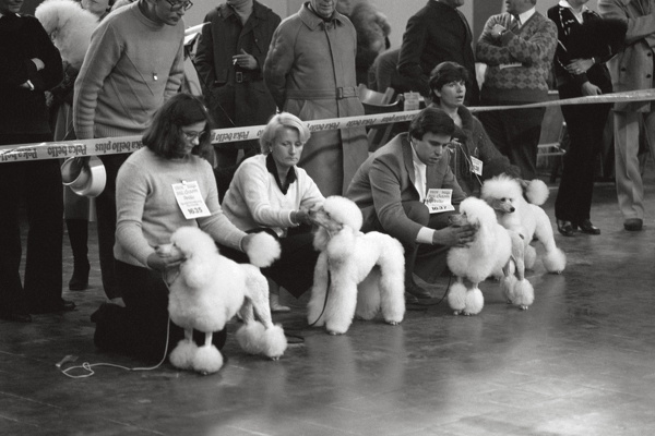 0336-1982-essen-ruettenscheid-messe