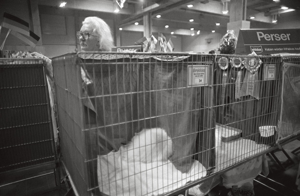 0390-1984-essen-ruettenscheid-messe