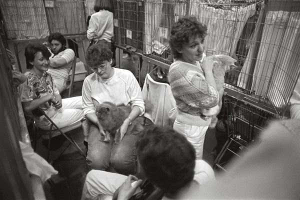 0391-1984- essen-ruettenscheid,messe