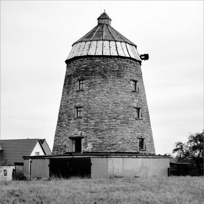 drossdorf-reppicha copy