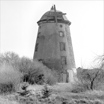 gross-ammensleben copy