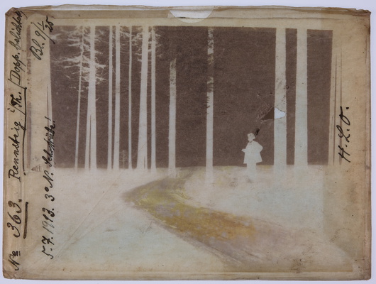 Glasplatten-unbekannter Amateurfotograf- div. Reisen