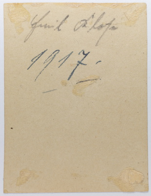 stickybacks-0063_stickybacks-0063a_